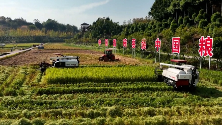 ��������忴���й�㉓���Ĵ����񣺱�ص����� һ��Ŵ��ǧ����