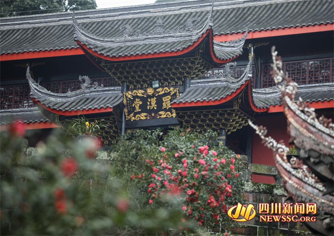 伏虎寺罗汉堂春花开似火_副本.png
