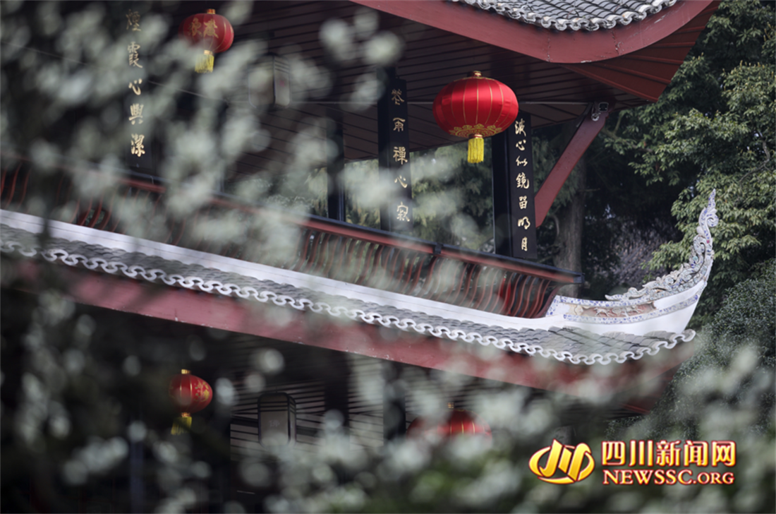 鲜花簇拥下的万年寺一景_副本.png