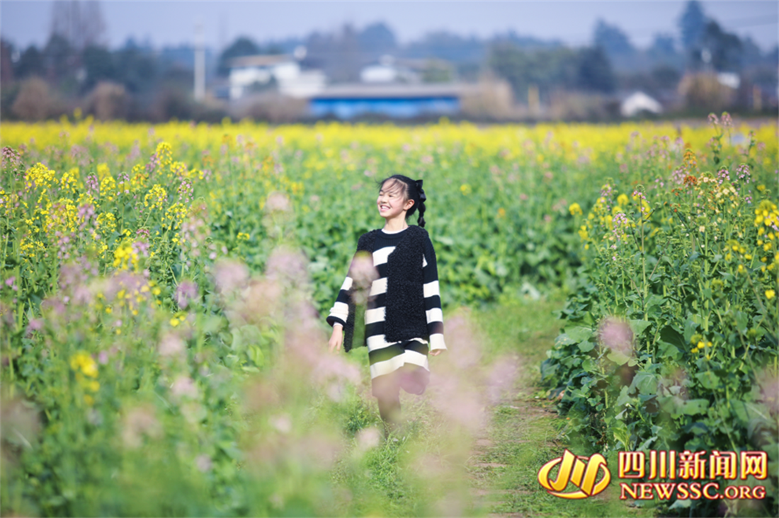 徜徉油菜花海_副本.png