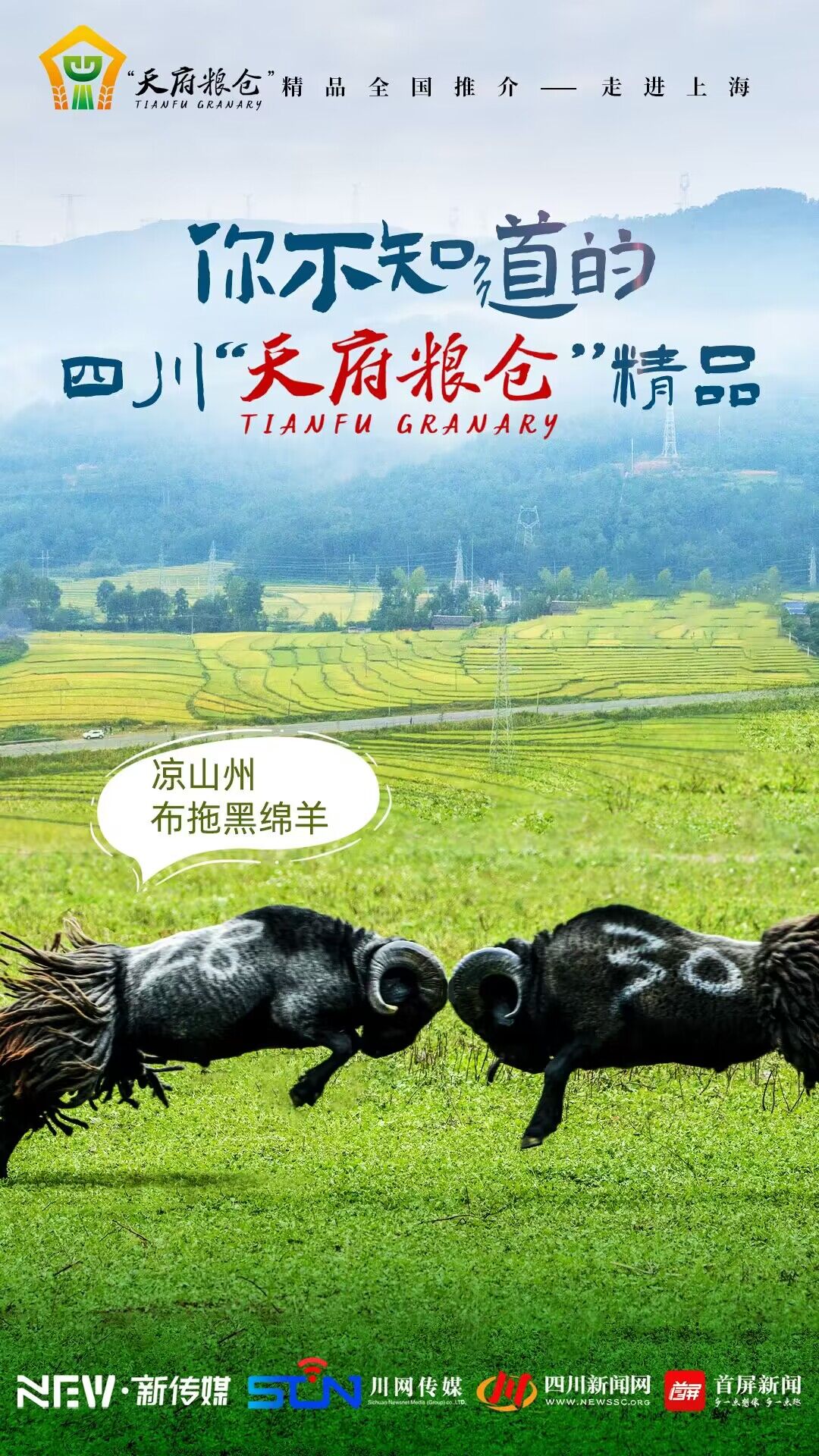 QQ图片20240112115021.jpg QQ图片20240112115021.jpg