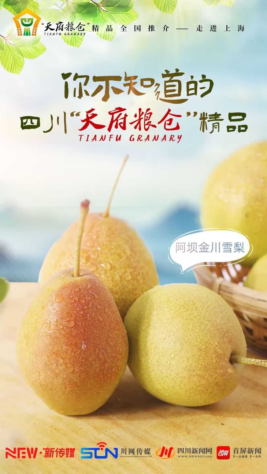 QQ图片20240112114019.jpg QQ图片20240112114019.jpg