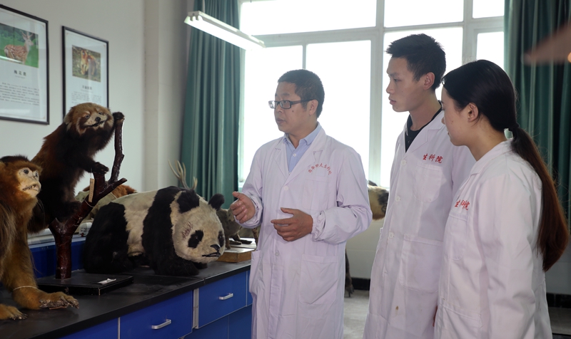 张泽钧教授给学生讲授大熊猫保护生物学知识_副本.jpg 张泽钧教授给学生讲授大熊猫保护生物学知识_副本.jpg