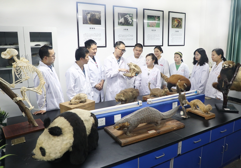 大熊猫团队围绕大熊猫起源与演化展开学术讨论_副本.jpg 大熊猫团队围绕大熊猫起源与演化展开学术讨论_副本.jpg