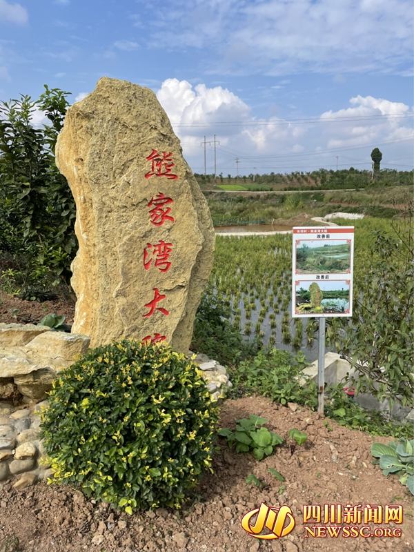 图片1_副本.jpg