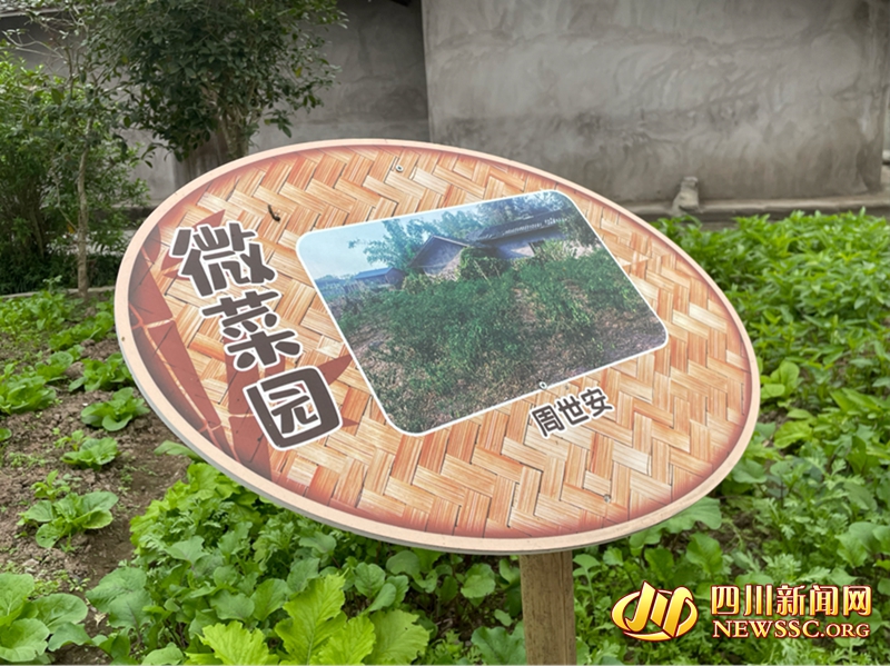 图片11.jpg